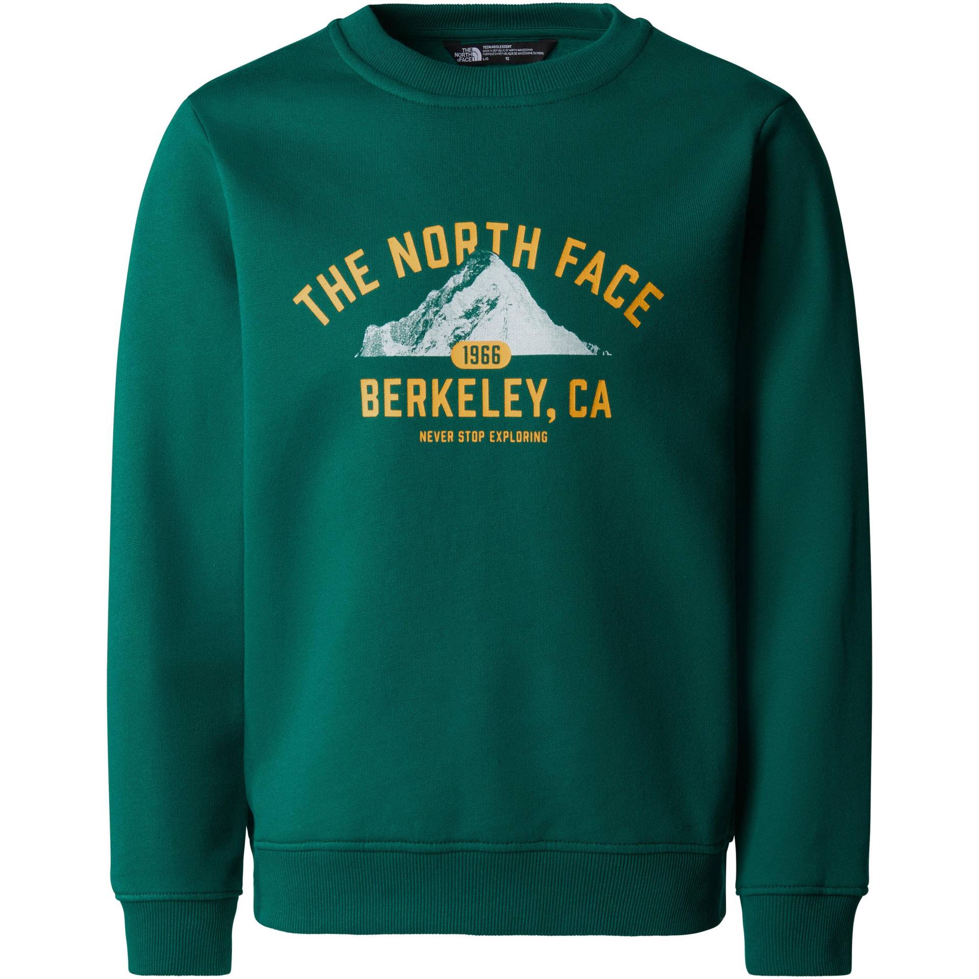 The North Face VARSITY Sweatshirt Kinder