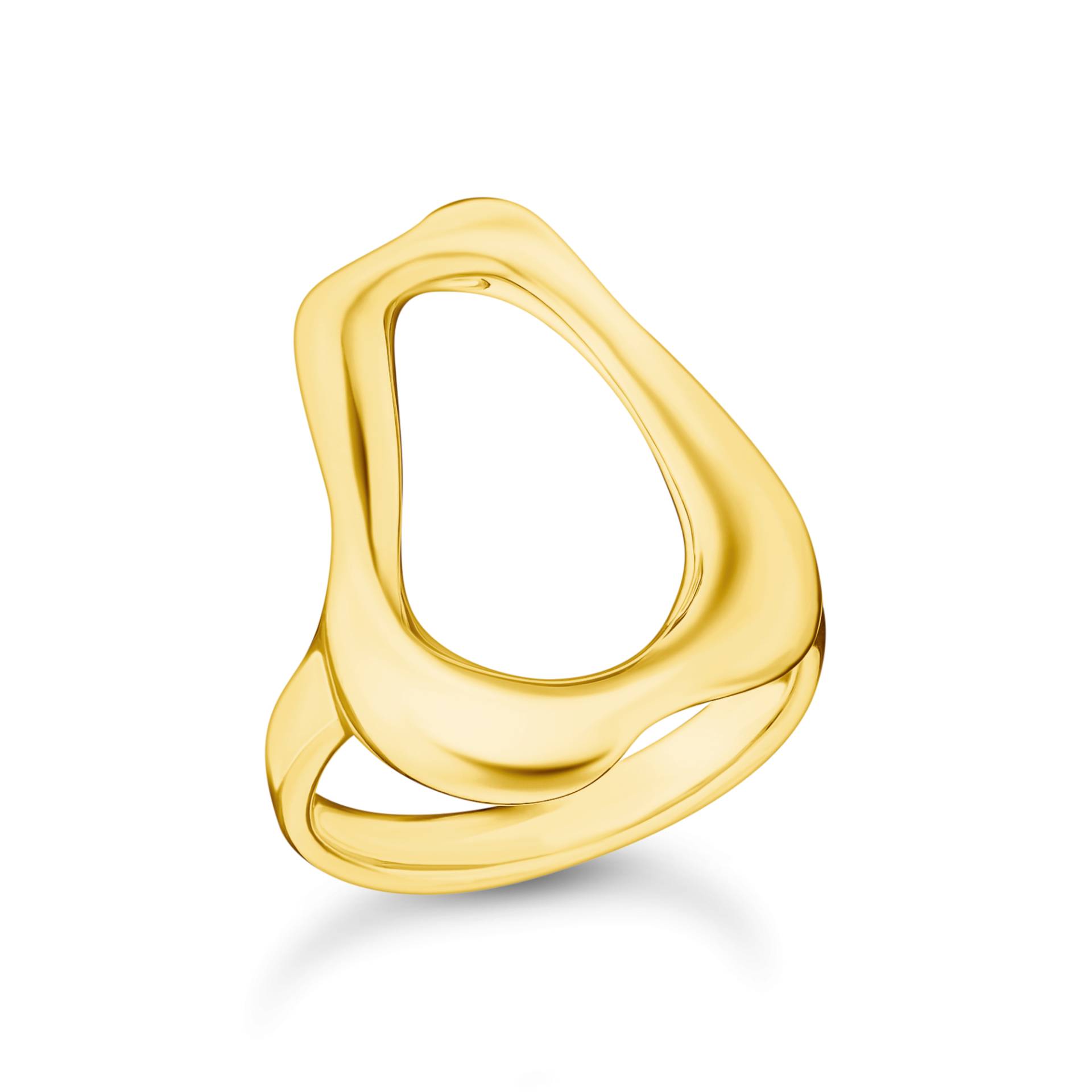 Thomas Sabo Ring Natural Beauty vergoldet gelbgoldfarben TR2486-413-39-50 Thomas Sabo Ring Natural Beauty vergoldet gelbgoldfarben TR2486-413-39-50 von Thomas Sabo