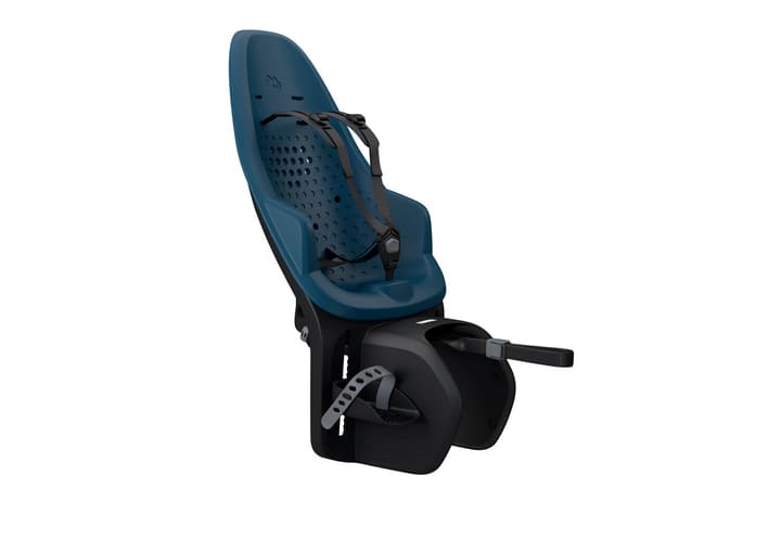 Thule Sitz Yepp 2 Maxi GT Blue Kindersitz von Thule