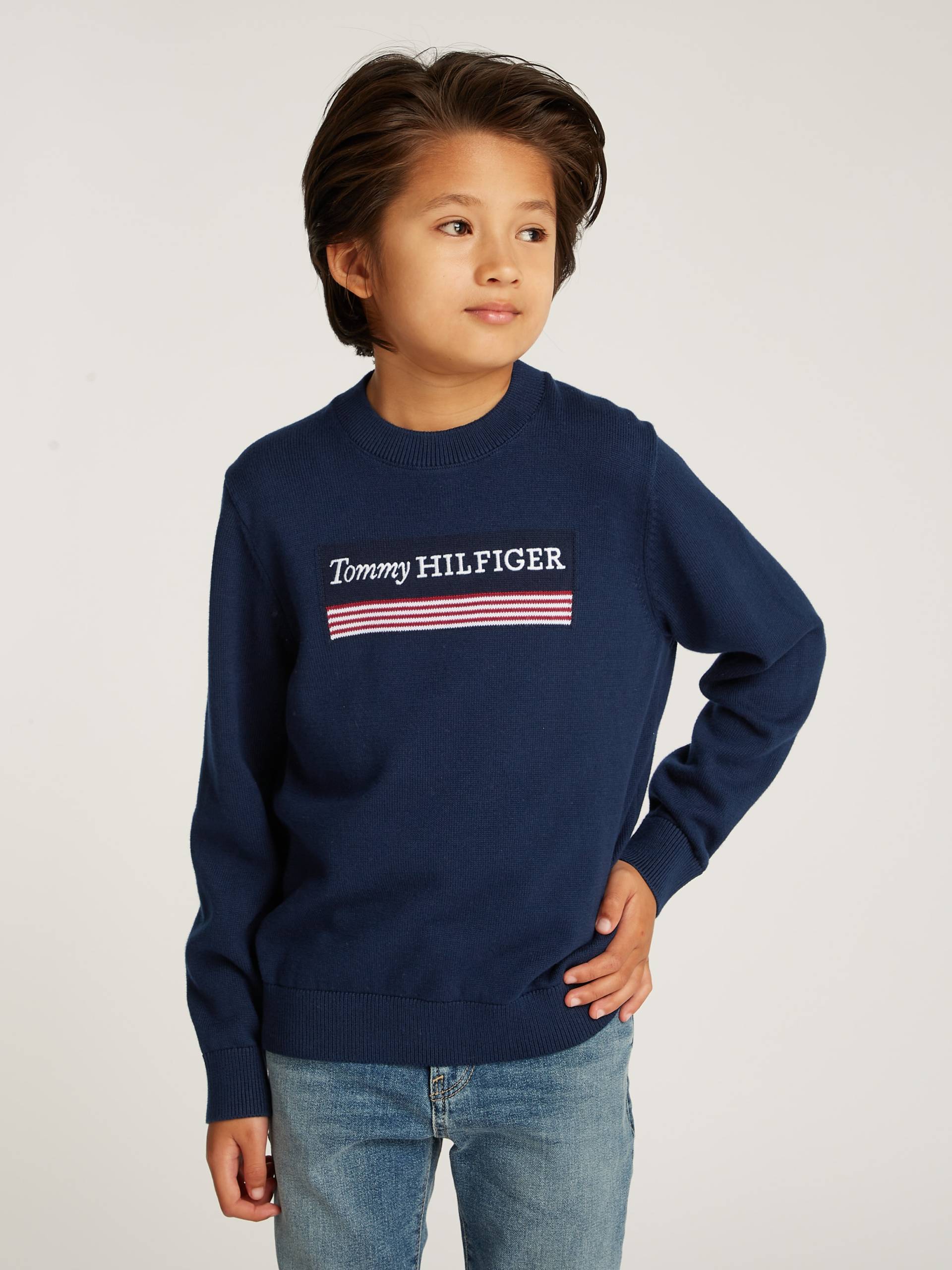 Tommy Hilfiger Strickpullover »MONOTYPE 1985 REG SWEATER«, mit Logoschriftzug von Tommy Hilfiger