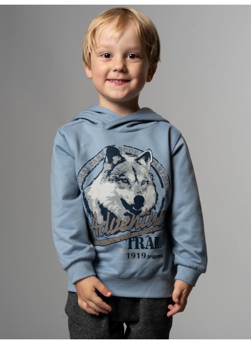 Trigema Sweatshirt »TRIGEMA Hoodie mit grossem Wolf-Print« Trigema Sweatshirt »TRIGEMA Hoodie mit grossem Wolf-Print« von Trigema