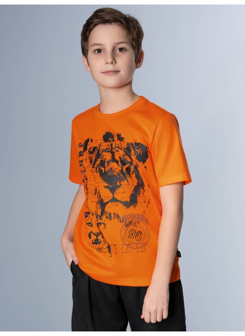 Trigema T-Shirt »TRIGEMA T-Shirt mit grossem Löwen-Print«, (1 tlg.) von Trigema