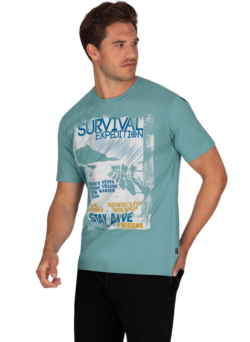 Trigema T-Shirt »TRIGEMA T-Shirt mit grossem Print-Motiv« Trigema T-Shirt »TRIGEMA T-Shirt mit grossem Print-Motiv« von Trigema