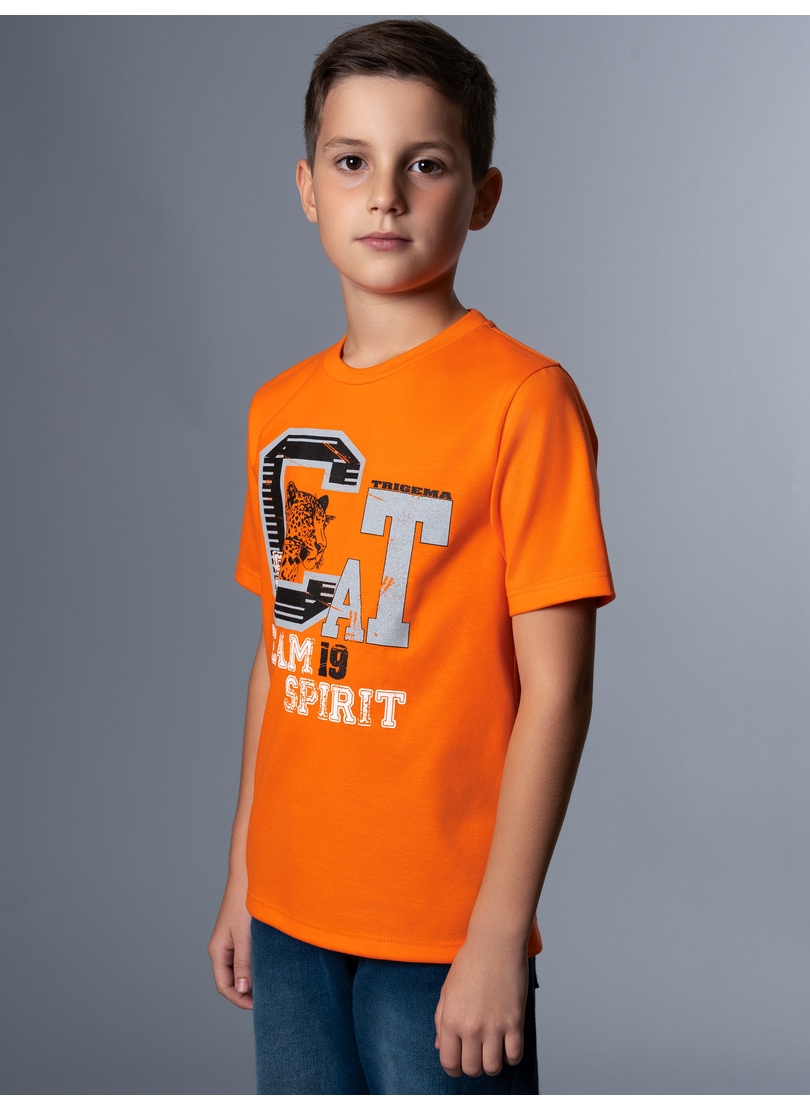 Trigema T-Shirt »TRIGEMA T-Shirt mit grossem Printmotiv«, (1 tlg.) von Trigema