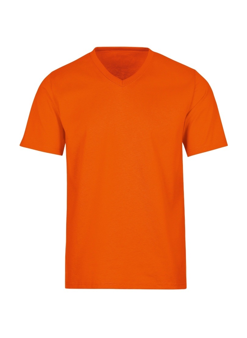 Trigema T-Shirt »TRIGEMA V-Shirt DELUXE Baumwolle« Trigema T-Shirt »TRIGEMA V-Shirt DELUXE Baumwolle« von Trigema