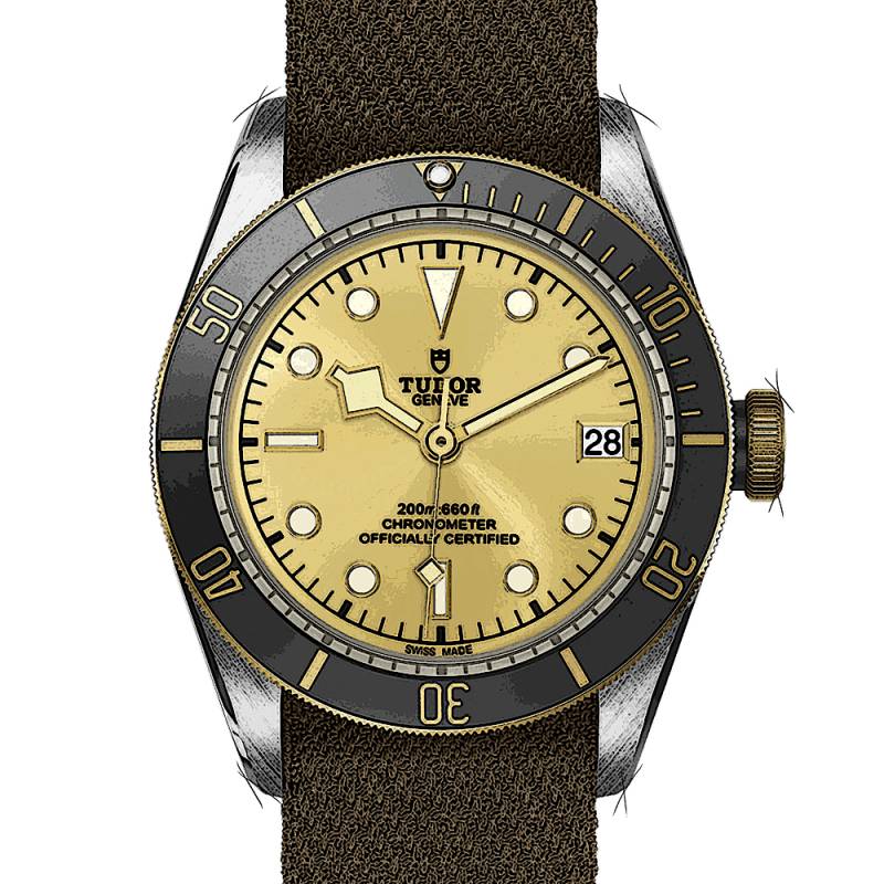 Tudor Black Bay S&G von Tudor