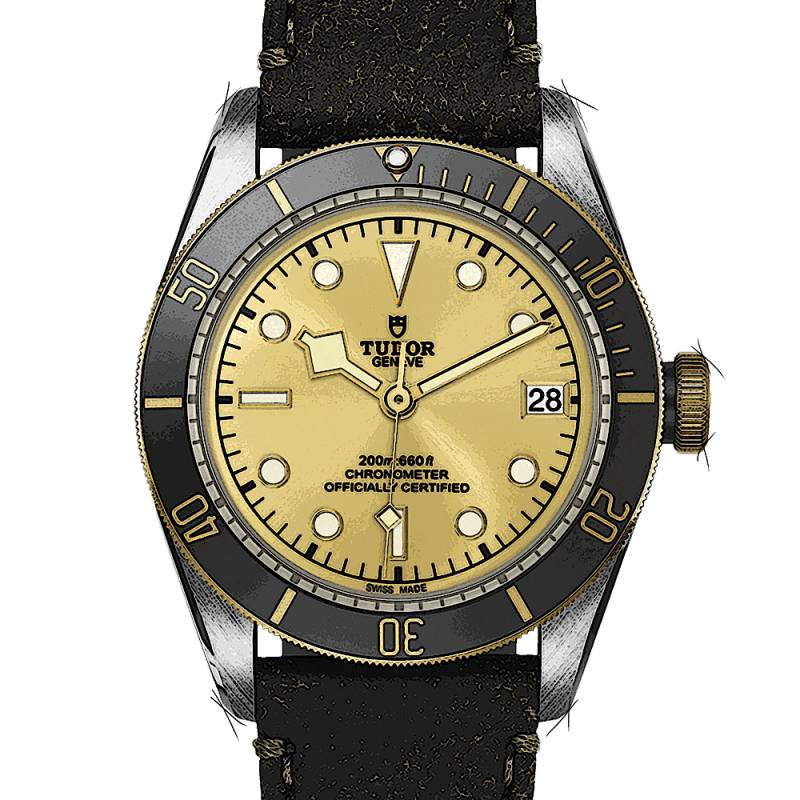 Tudor Black Bay S&G von Tudor