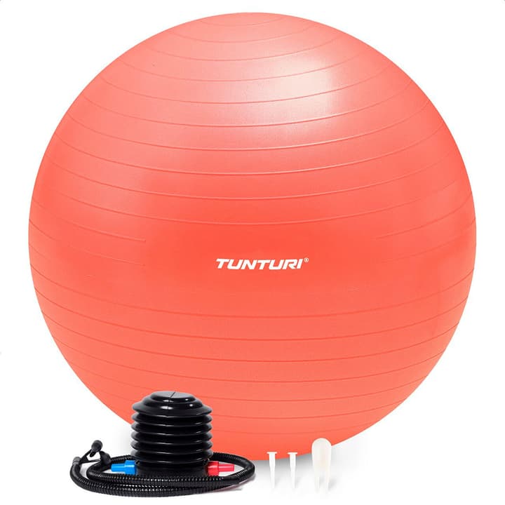 Tunturi Tunturi Gym Ball - Fitnessball reissfest ABS 65 cm Orange Fitnessball von Tunturi