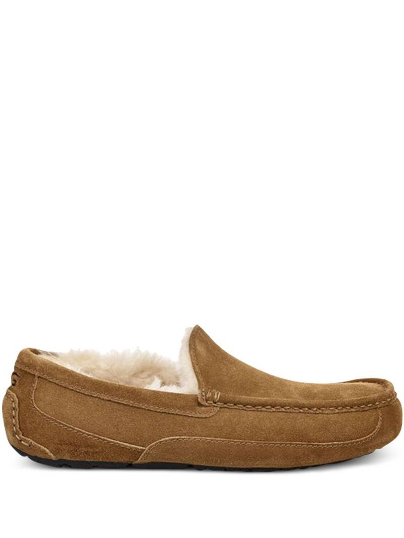 UGG Ascot slippers - Brown von UGG