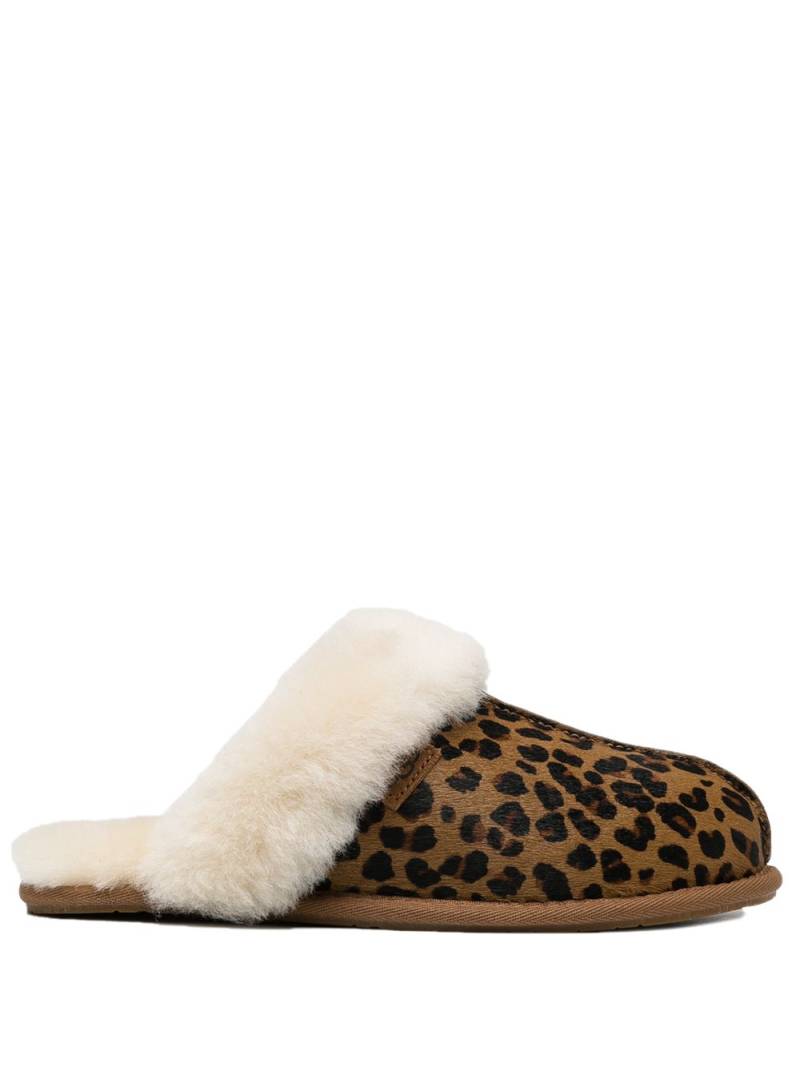 UGG SCUFFETTE II WMNS "Cheetah Print" - Brown von UGG