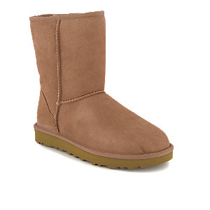 UGG Classic Short Damen Boot Braun von Ugg