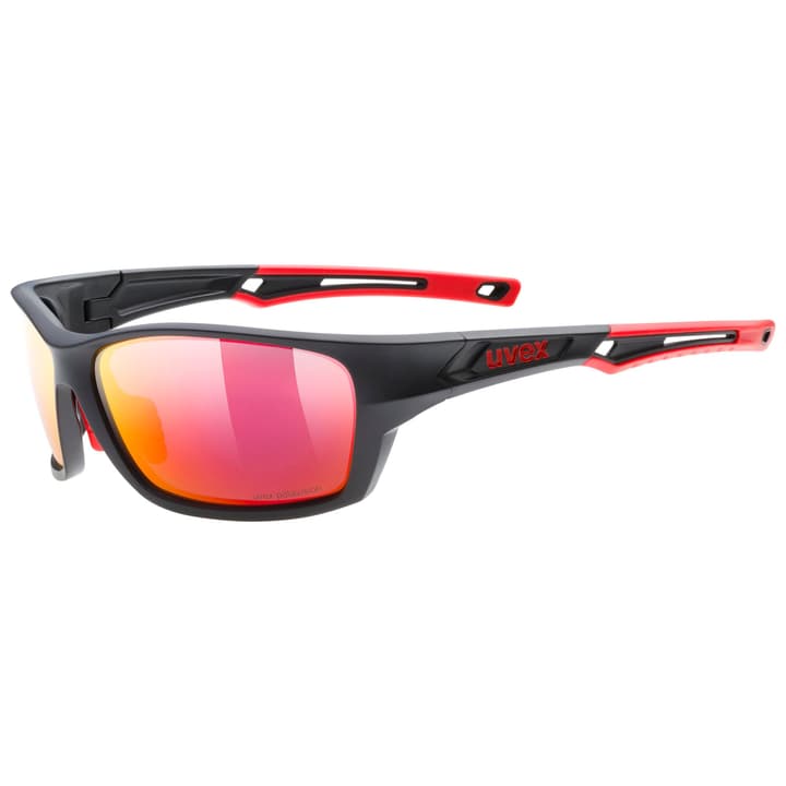 Uvex Sportstyle 232 P Sportbrille rot von Uvex