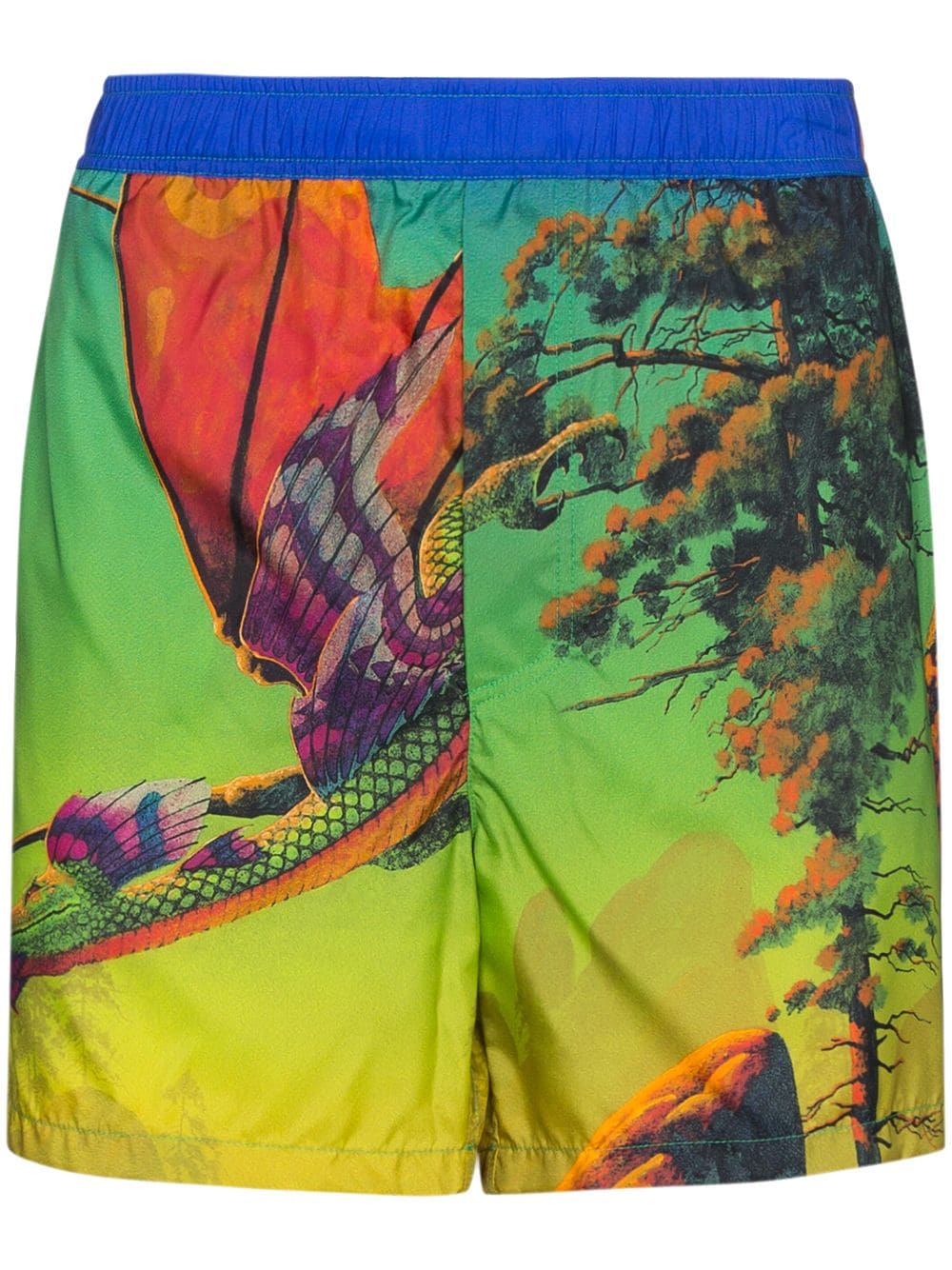 Valentino Garavani Dragon At Dawn print swim shorts - Green von Valentino Garavani