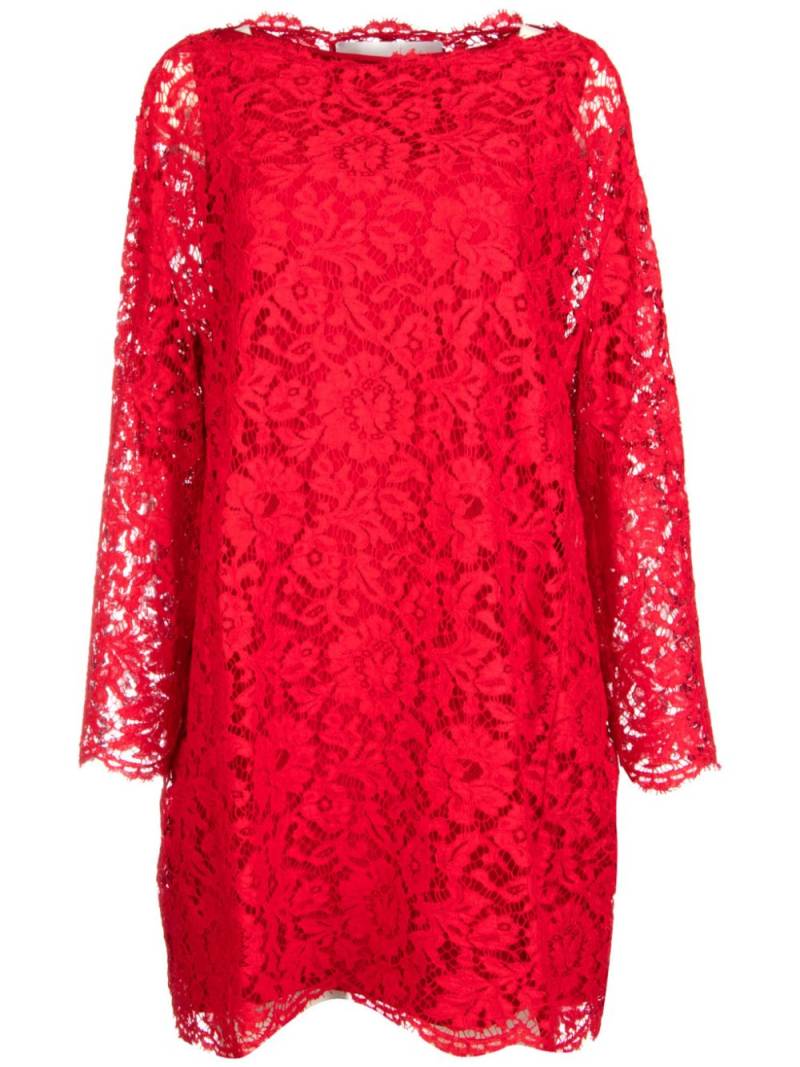 Valentino Garavani floral-lace mini dress - Red von Valentino Garavani