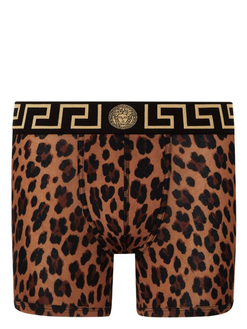 Versace Greca Border leopard-print boxers - Brown von Versace