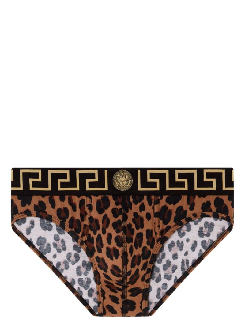 Versace Greca Border leopard-print briefs - Brown von Versace