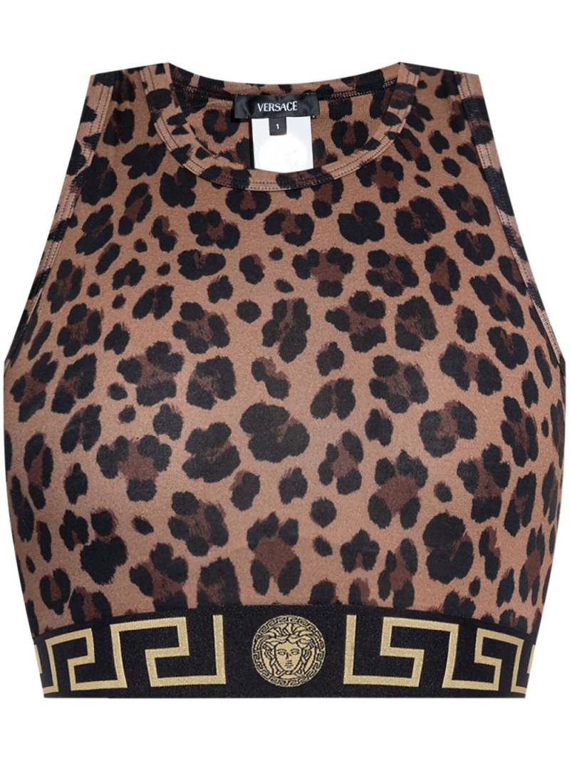 Versace Greca-border leopard-print crop top - Brown von Versace