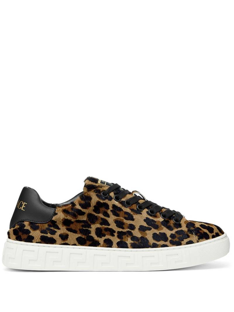 Versace Greca leopard-print sneakers - Neutrals von Versace