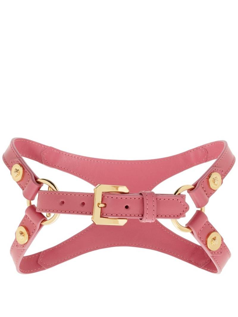 Versace Medusa-stud pet harness - Pink von Versace