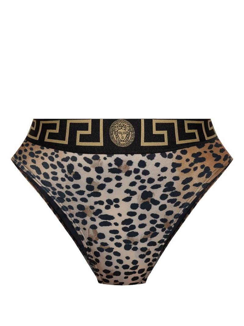 Versace leopard print bikini bottom - Neutrals von Versace