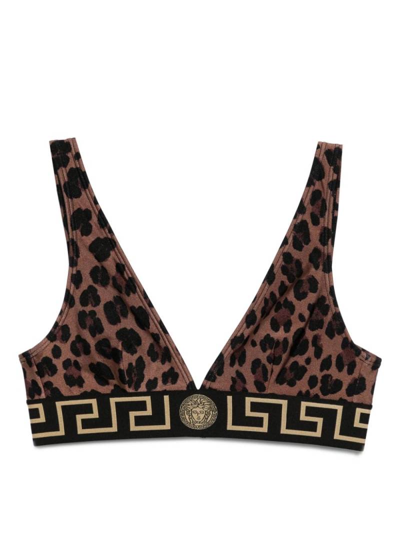 Versace leopard-print bikini top - Brown von Versace