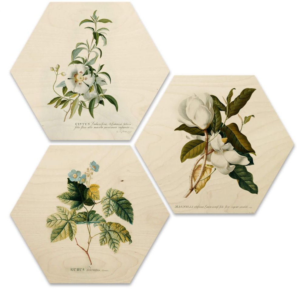 Wall-Art Mehrteilige Bilder »Botanische Collage Blumen Floral«, Grundriss, (Set, 3 St.), Holzposter modern von Wall-Art