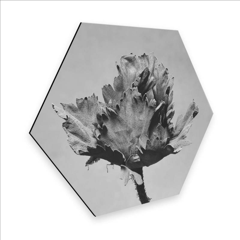 Wall-Art Metallbild »Botanisches Wandbild Blumen«, (1 St.), Retro Metallschild von Wall-Art