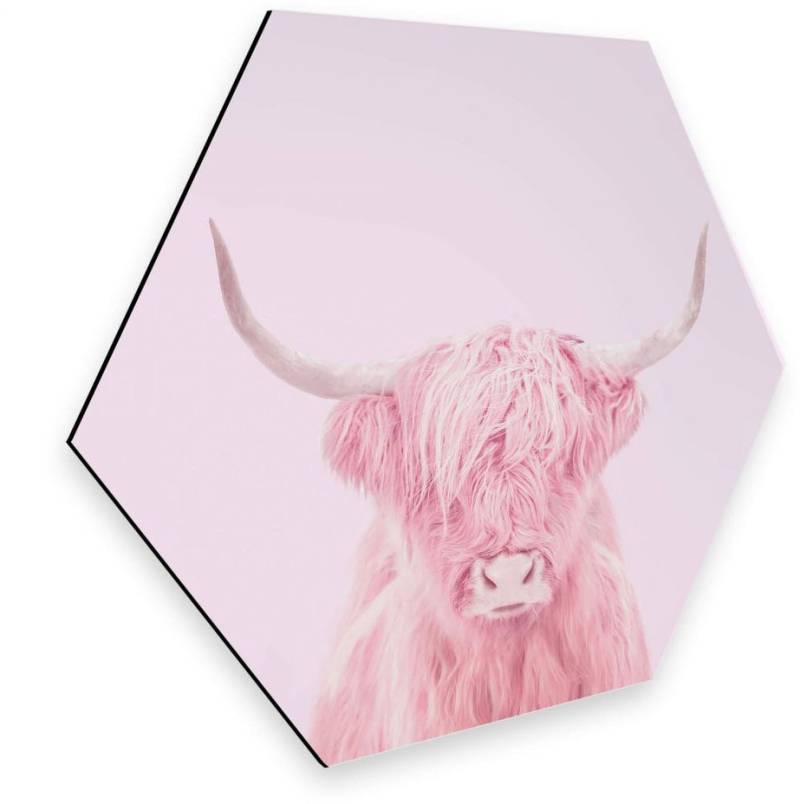 Wall-Art Metallbild »Hochland Rind Rosa Türschild«, (1 St.), Retro Metallschild von Wall-Art