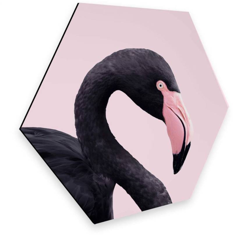 Wall-Art Metallbild »Rosa Flamingo Pink Black Hexagon«, (1 St.), vintage Metallschild von Wall-Art