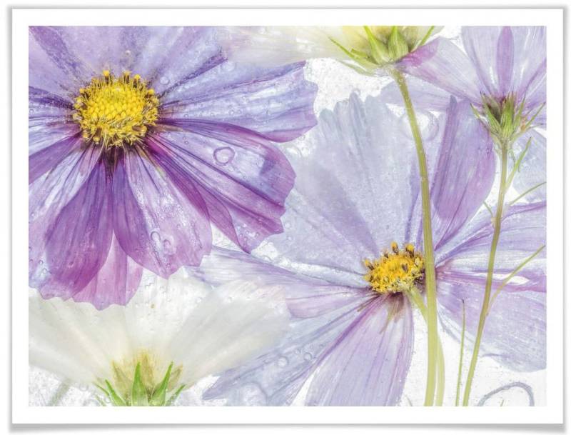 Wall-Art Poster »Frozen Flowers«, Blumen, (1 St.), Poster ohne Bilderrahmen von Wall-Art