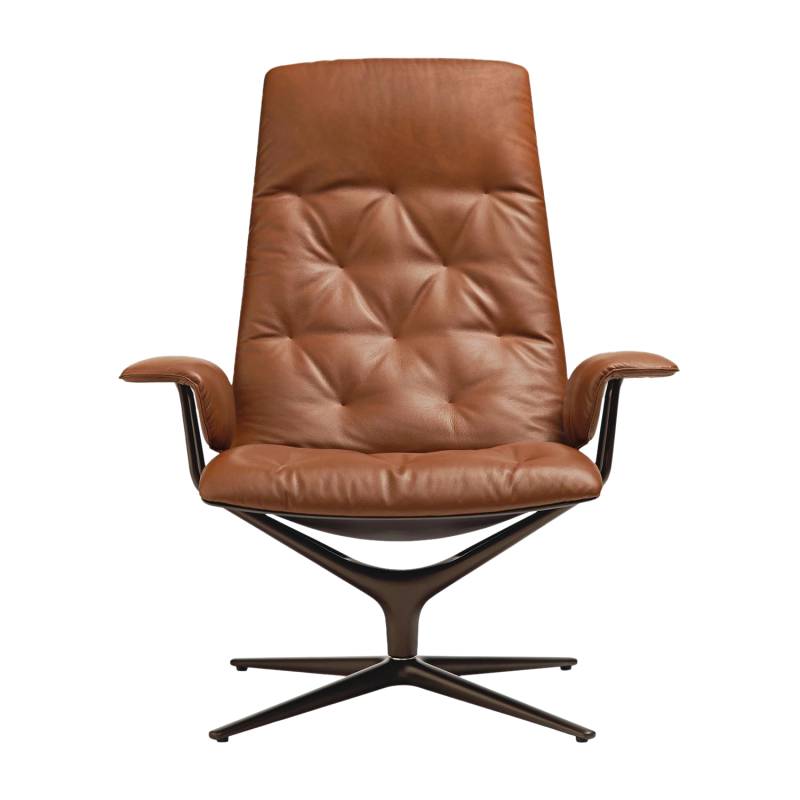 Healey Soft Lounge Sessel, Bezug stoff divina 3, brombeer 671, Untergestell matt-pulverbeschichtet schwarz von Walter Knoll