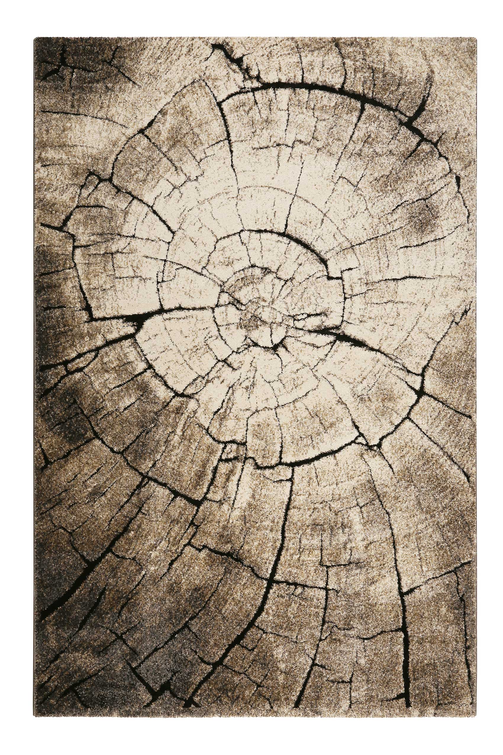 Wecon home Teppich »Wild Oak«, rechteckig, 13 mm Höhe, Holz Optik, Wohnzimmer Wecon home Teppich »Wild Oak«, rechteckig, 13 mm Höhe, Holz Optik, Wohnzimmer von Wecon Home