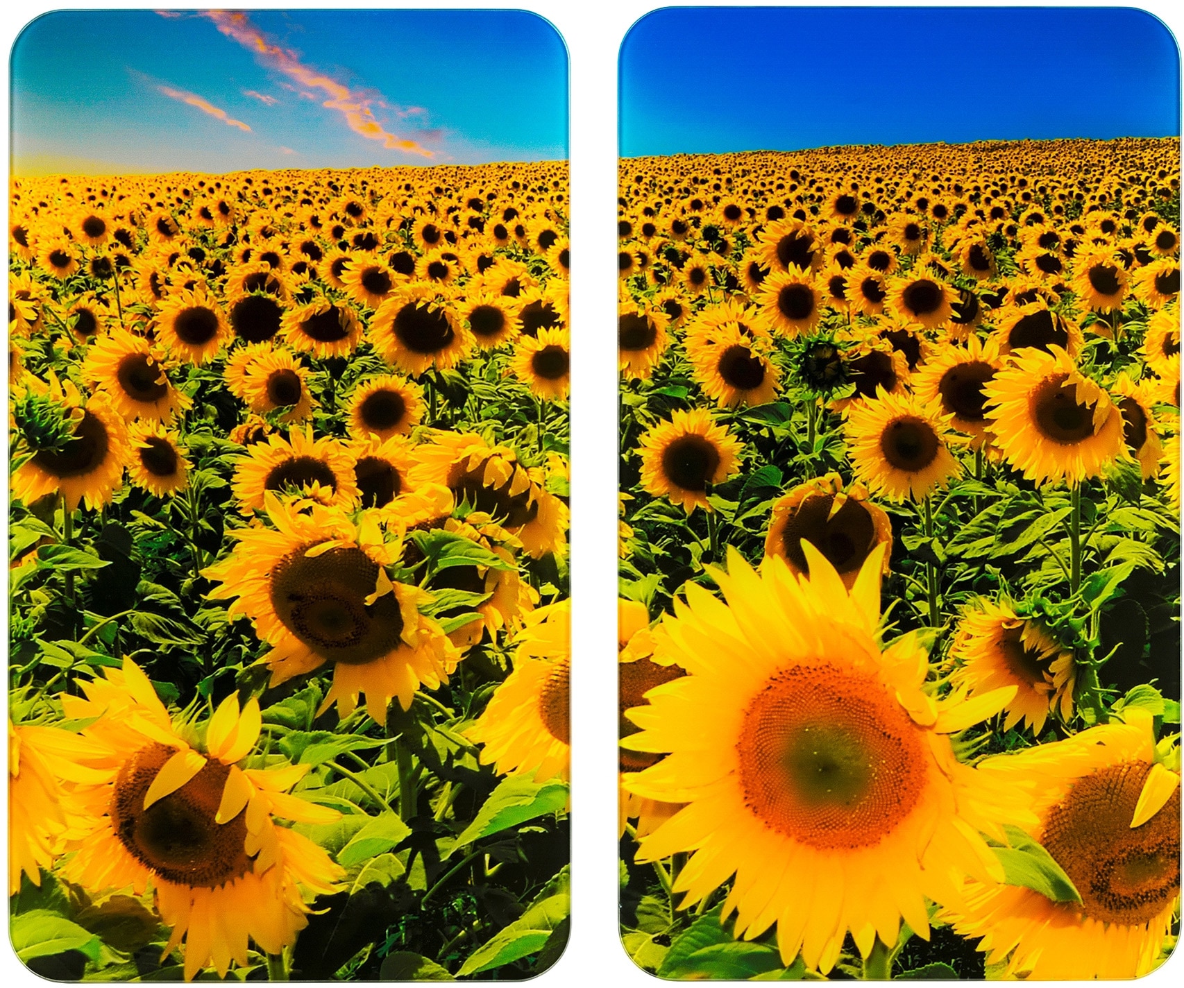 WENKO Herd-Abdeckplatte »Universal Sonnenblumenfeld«, (Set, 2 tlg.) von Wenko