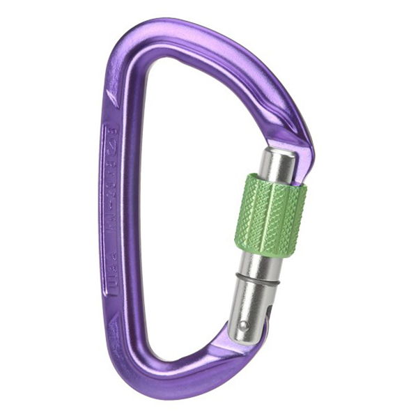 Wild Country - Session Screw Gate - Schraubkarabiner schwarz Wild Country - Session Screw Gate - Schraubkarabiner schwarz von Wild Country
