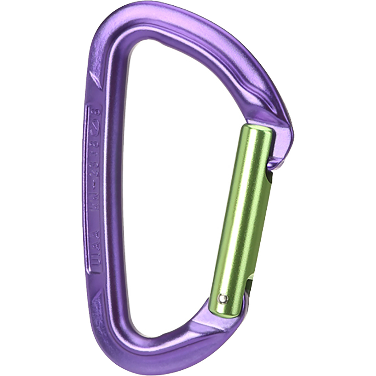 Wild Country Session Straight Karabiner von Wild Country