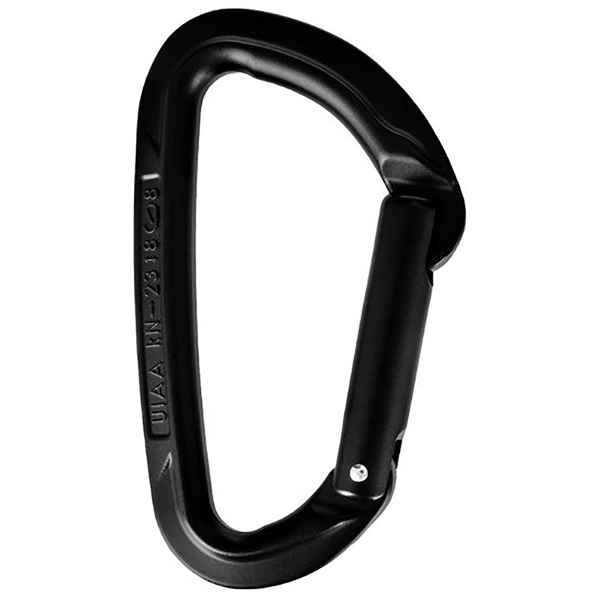 Wild Country Session Straight Karabiner von Wild Country