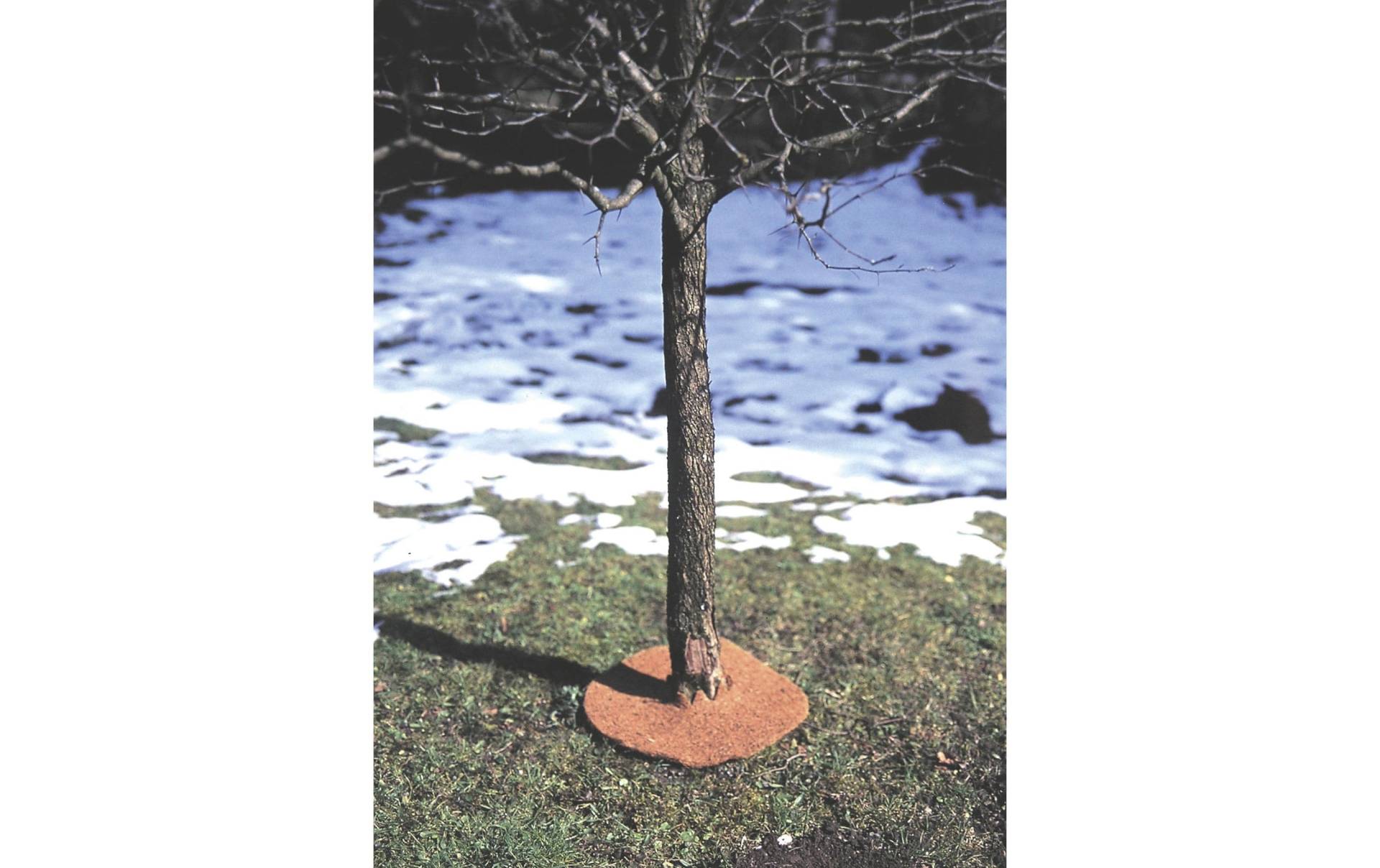 Windhager Bodenschutzmatte »Kokos-Winterschutz-Matte« Windhager Bodenschutzmatte »Kokos-Winterschutz-Matte« von Windhager
