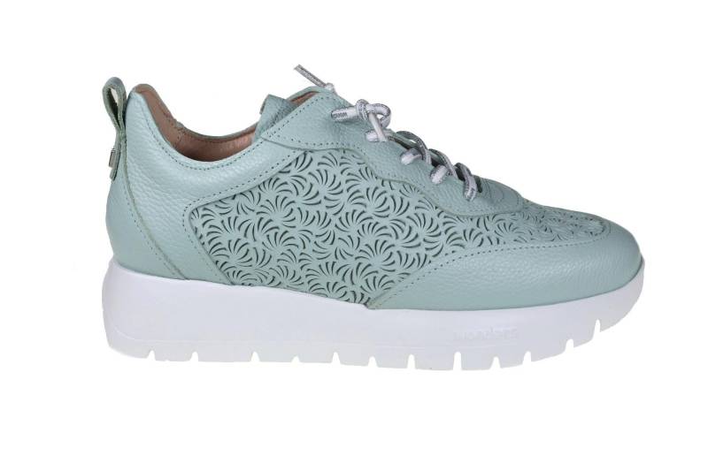 Cairo - Leder Sneaker Damen Blau 35 von Wonders