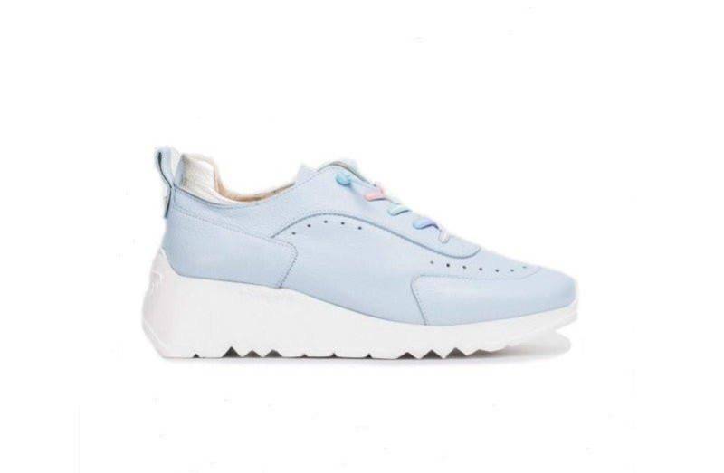 Mint - Leder Sneaker Damen Blau 35 von Wonders