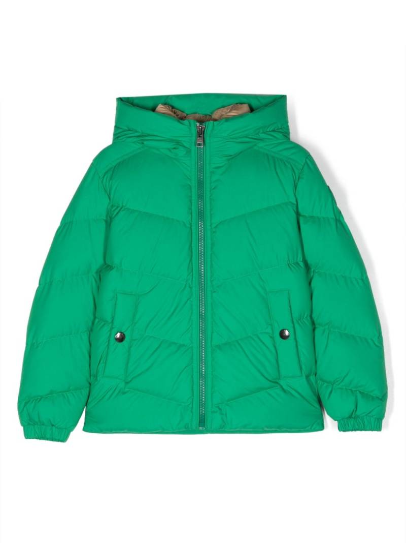 Woolrich Kids Authentic padded down jacket - Green von Woolrich Kids