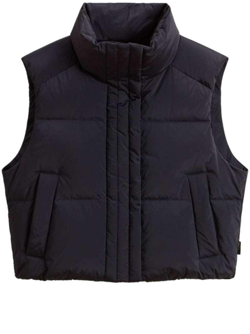 Woolrich Alsea vest - Black von Woolrich