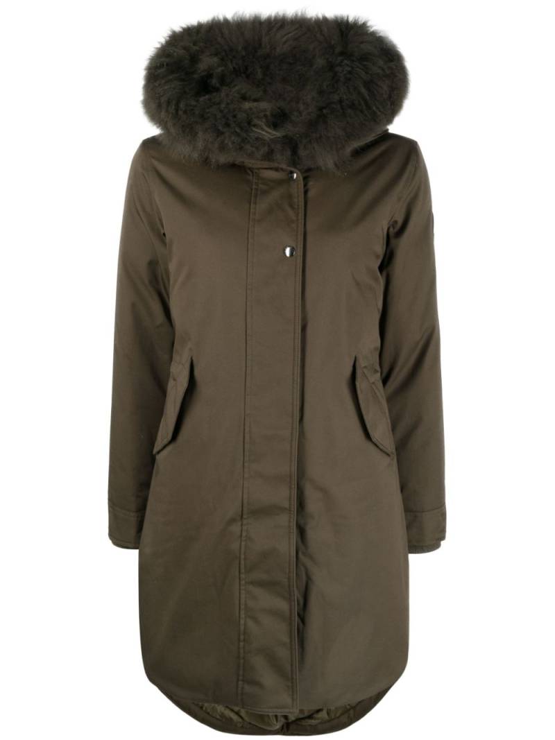 Woolrich Military parka coat - Green von Woolrich