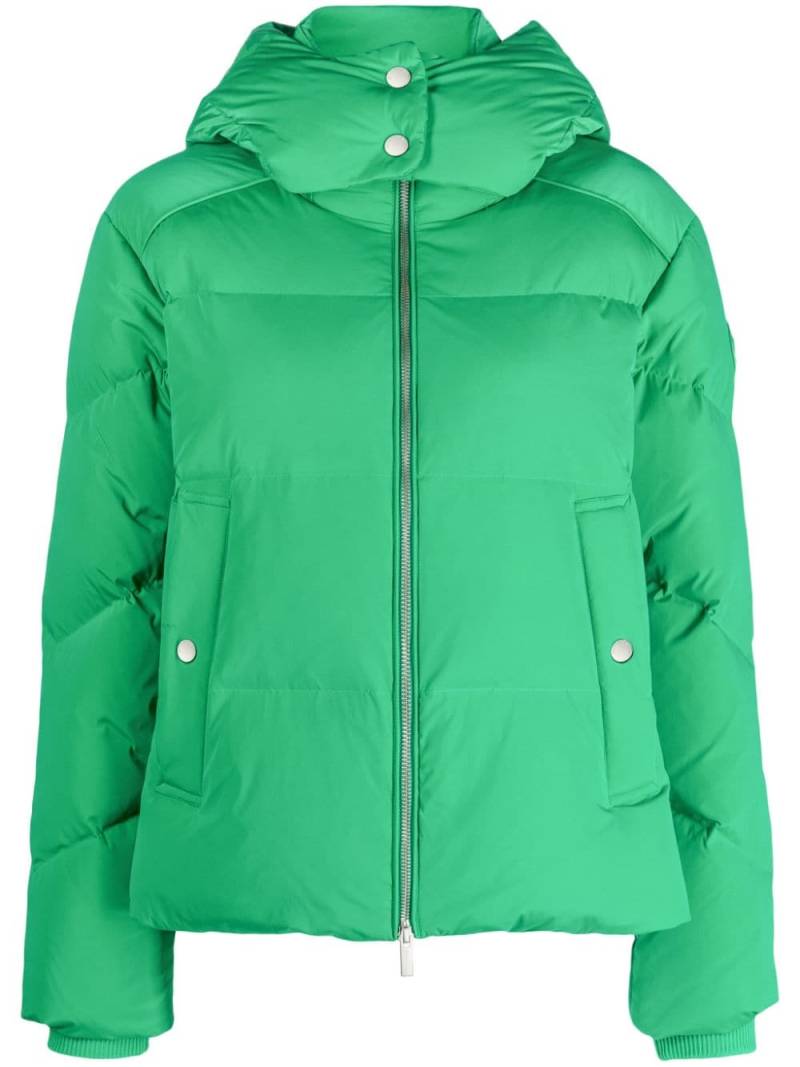 Woolrich detachable-hood padded jacket - Green von Woolrich