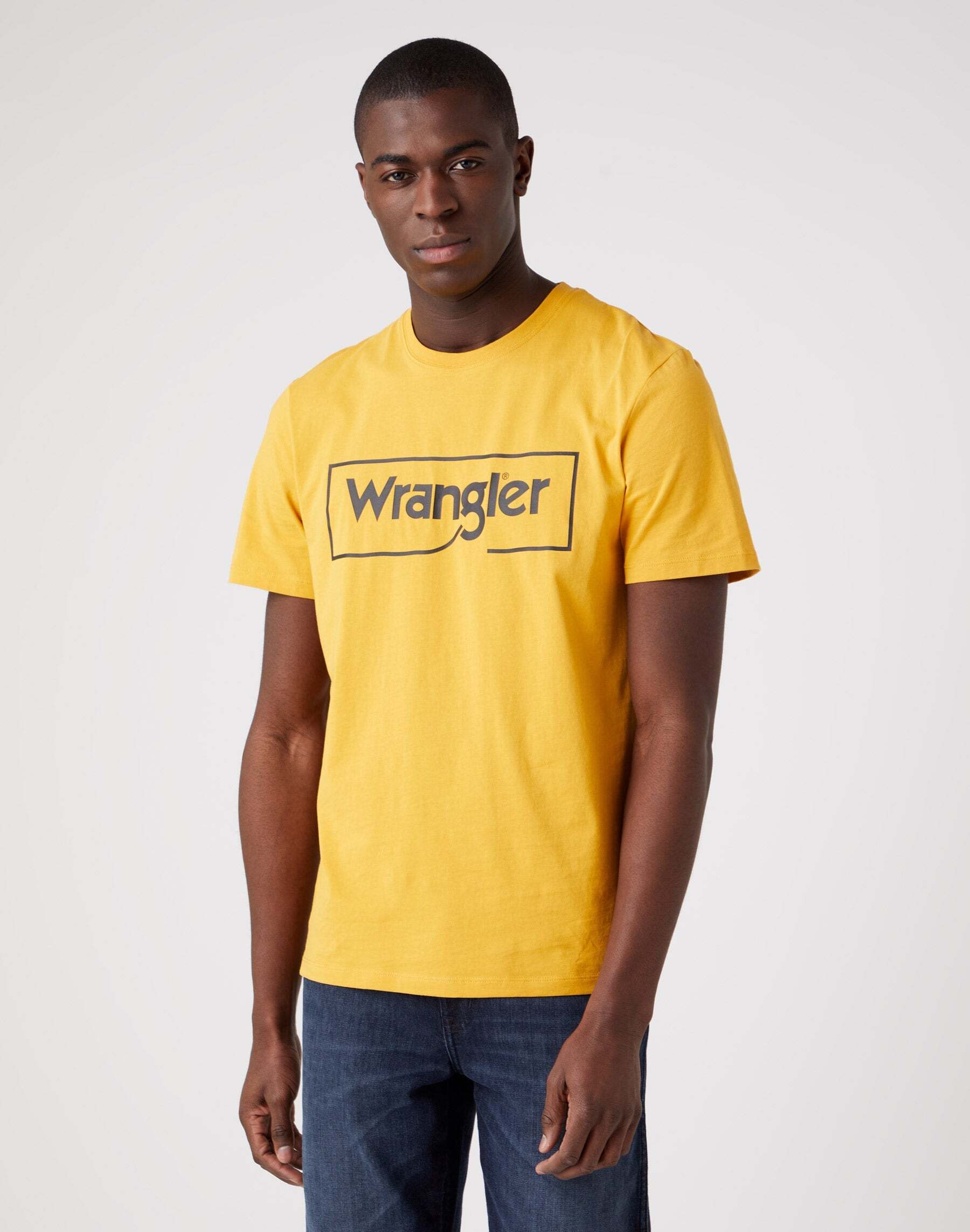 Wrangler T-Shirt »TShirtFrameLogo« von Wrangler