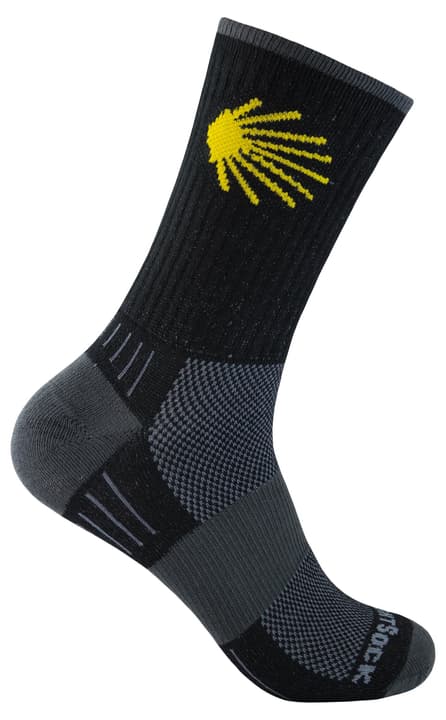 Wrightsock Escape Jakobsweg Socken schwarz