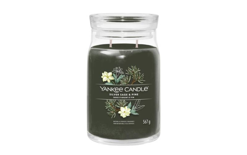 Yankee Candle Duftkerze »Silver Sage & Pine Signature Large Jar« von Yankee Candle