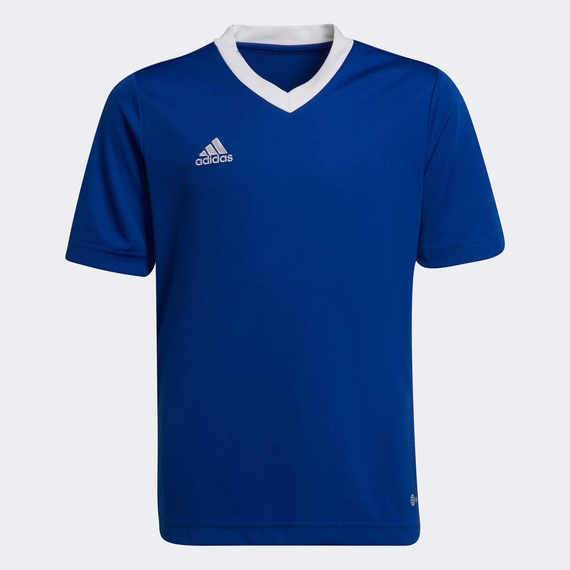 adidas Performance Fussballtrikot »ENT22 JSY Y« adidas Performance Fussballtrikot »ENT22 JSY Y« von adidas Performance
