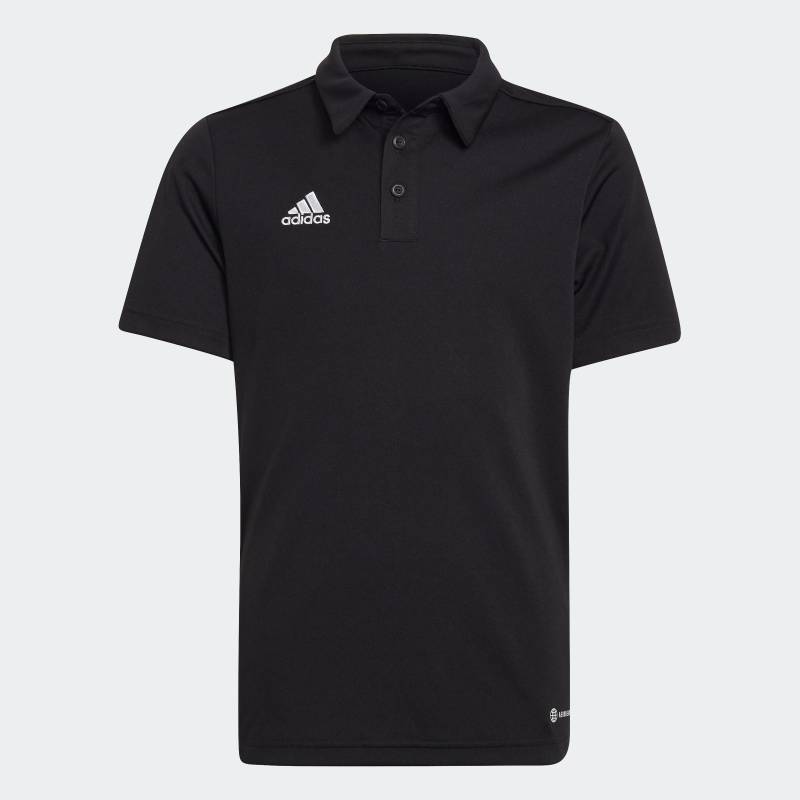 adidas Performance Poloshirt »ENT22 POLO Y« von adidas Performance