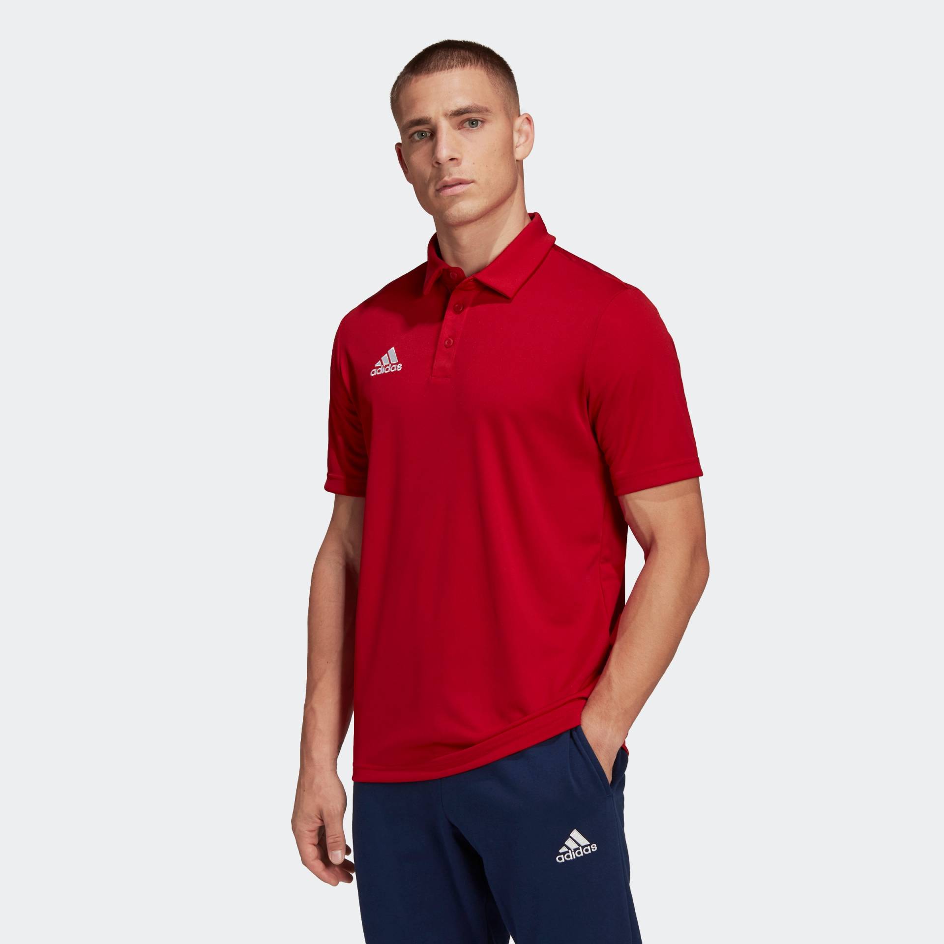 adidas Performance Poloshirt »ENT22 POLO« von adidas Performance