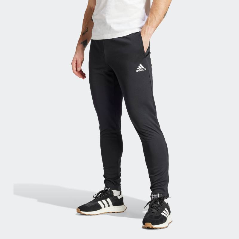 adidas Performance Trainingshose »ENT22 TR PNT«, (1 tlg.) von adidas Performance